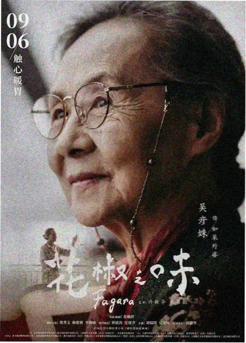 治愈系动画短片集纸灯四季的封面
